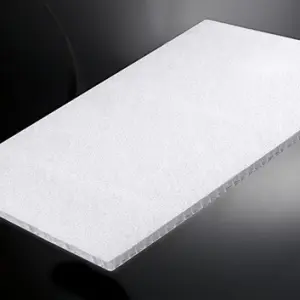 Plaque alvéolaire légère et résistante pour la fabrication de panneaux sandwich composites