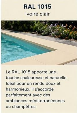NUANCIER RAL 1015